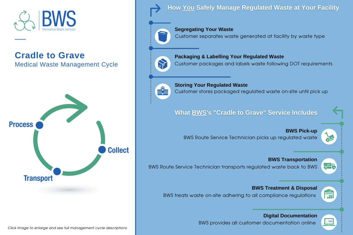 BWS Cradle to Grave Medical Waste Management Cycle graphic
